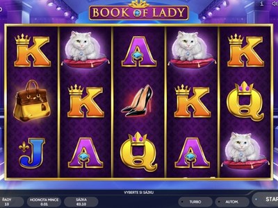 Игровой автомат Book Of Lady студии Endorphina